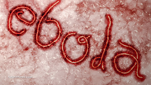 dịch bệnh ebola