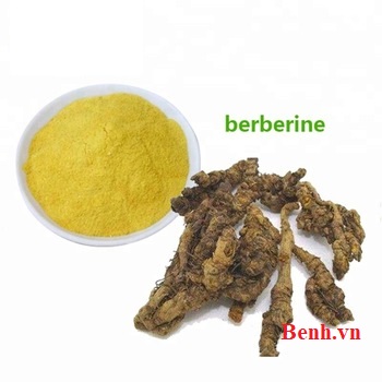 hình ảnh berberin và dược liệu