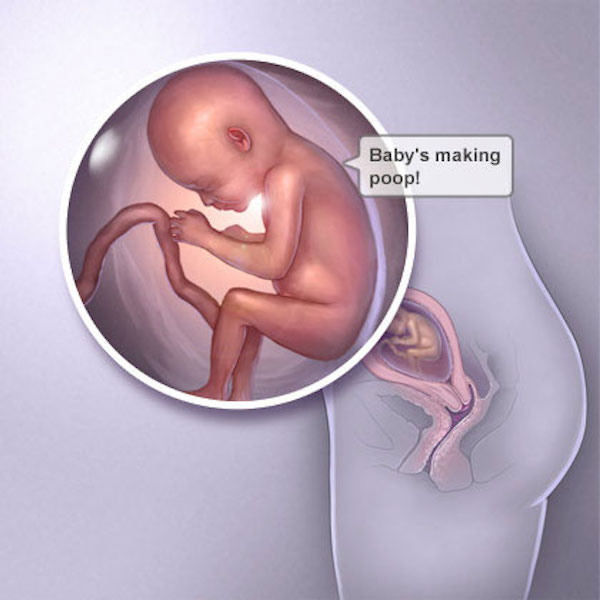 Фото ребенка на 19 неделе беременности фото