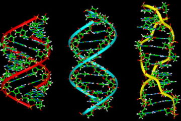 Cẩm nang những điều cần biết về việc giám định ADN
