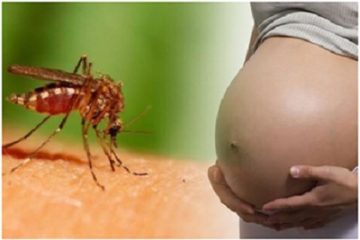 TPHCM: Bốn phụ nữ mang thai nhiễm virus Zika và giải pháp phòng tránh