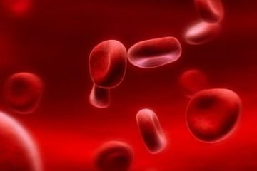 Công bố khoa học: Nuôi cấy thành công tế bào hồng cầu bất tử