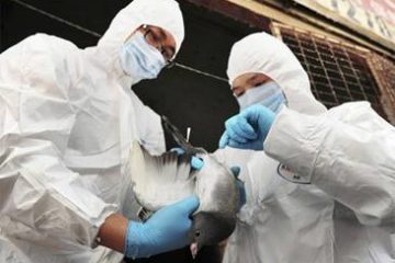 Phòng tránh virus cúm H7N9 đang ngày càng nguy hiểm