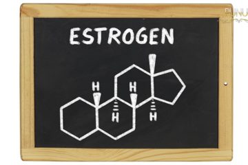 Xét nghiệm sinh hóa Estrogen máu