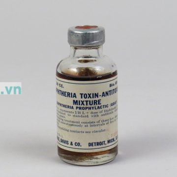 giai-doc-to-bach-hau-Diphtheria-antitoxin