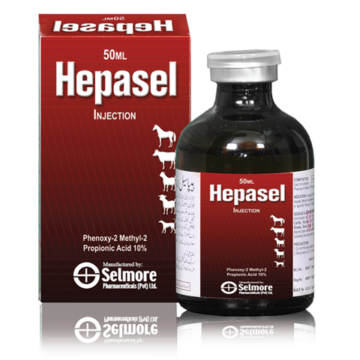 thuốc hepasel