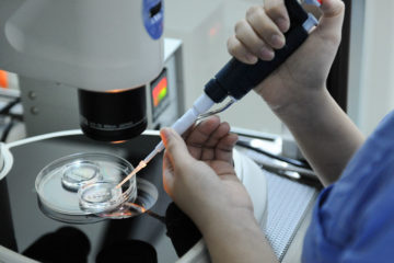 Kỹ Thuật ICSI, Tiêm tinh trùng vào bào tương trứng