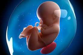 Trung Quôc: Nghiên cứu kỹ thuật sửa gen gây bệnh trong phôi thai