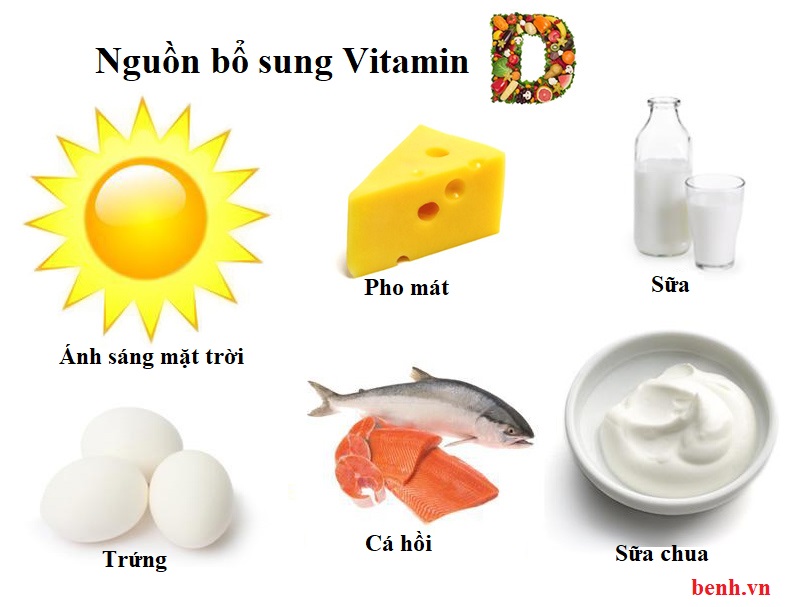 Nguồn bổ sung Vitamin D cho cơ thể