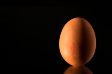 Nhật Bản phát minh ra gà đẻ trứng có tác dụng điều trị ung thư