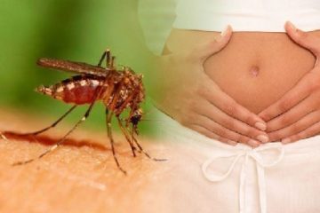 Phụ nữ từng bị nhiễm Zika, sau bao lâu mới nên có thai?