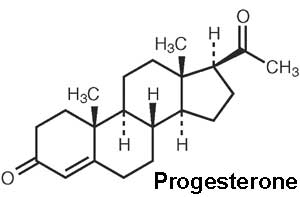 Tác dụng của Estrogen và Progesterone lên niêm mạc tử cung và chu kỳ kinh nguyệt