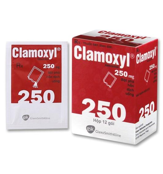 Clamoxyl 250mg được chỉ định điều trị bệnh gì?
