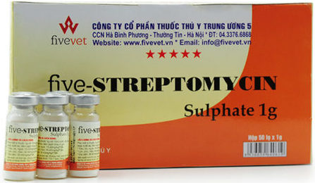 five-streptomycin-sulphate-1g