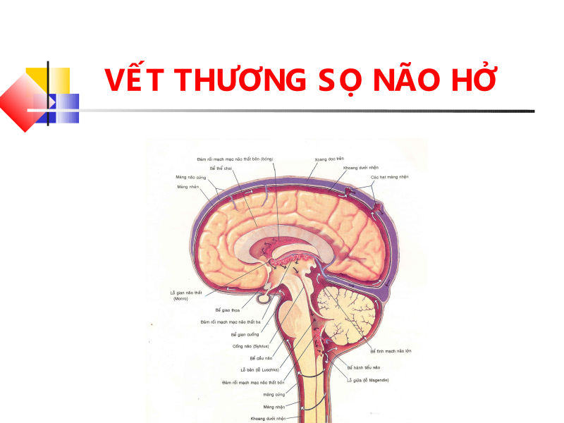 vet_thuong_so_nao