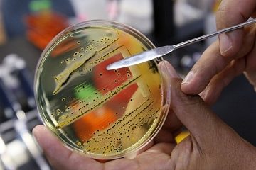WHO công bố danh sách 12 siêu vi khuẩn đáng lo ngại nhất