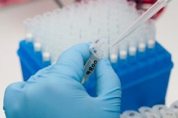Mỹ tiến hành xét nghiệm virus Zika bằng phương pháp mới