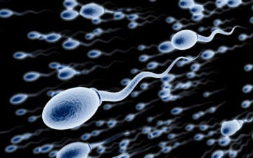 10 thú vị về tinh trùng nên khám phá