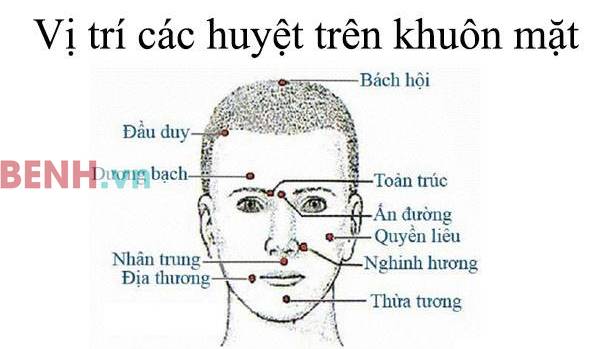 Top 20 Cách Bấm Huyệt Trên Khuôn Mặt Mới Nhất Năm 2022 