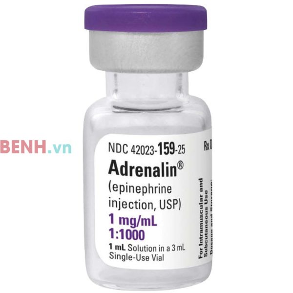 Epinephrine-Adrenaline12