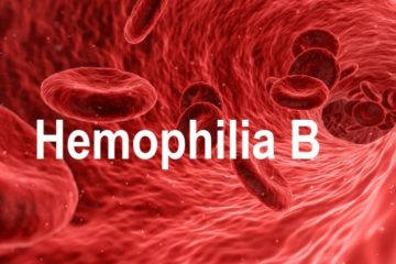 Bệnh máu khó đông - Hemophilia