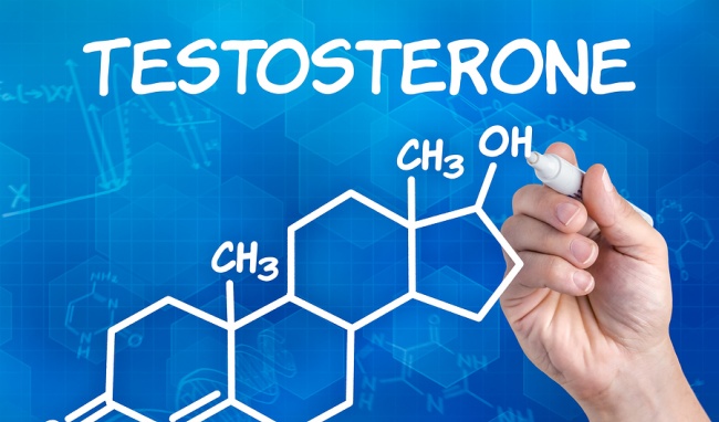 hormon sinh dục nam - testosterone