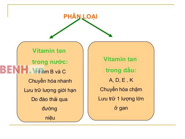 vitamin-tan-trong-nuoc-va-vitamin-tan-trong-dau