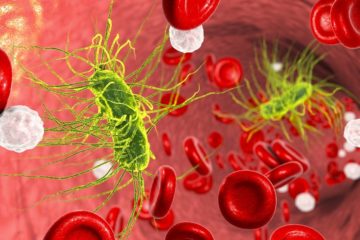 Thật ngạc nhiên, hệ vi sinh vật đường ruột có thể đang bảo vệ bạn khỏi bệnh nhiễm trùng máu
