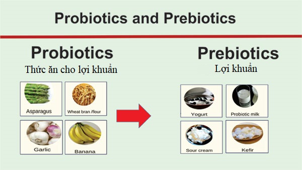 Probiotics-va-Prebiotics