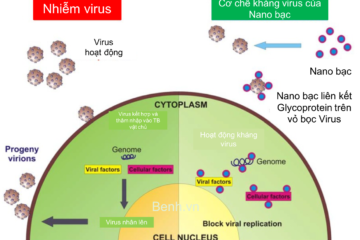 Co-che-khang-virus-cua-nuoc-suc-mieng-nano-bac-plasma