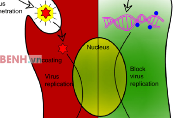 nano-bac-diet-virus