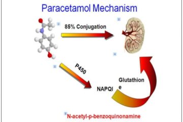 Ngộ độc Paracetamol – Nguyên nhân, chẩn đoán và cách điều trị