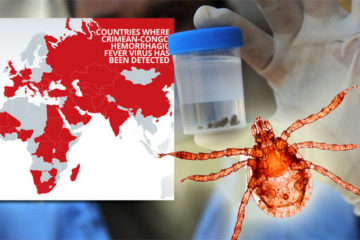 Tổng quan về bệnh Sốt xuất huyết Crimean–Congo CCHF