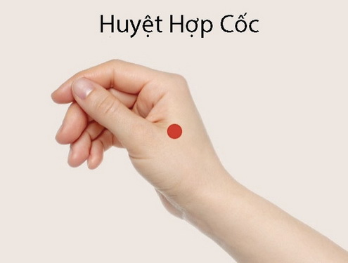 huyet-hop-coc