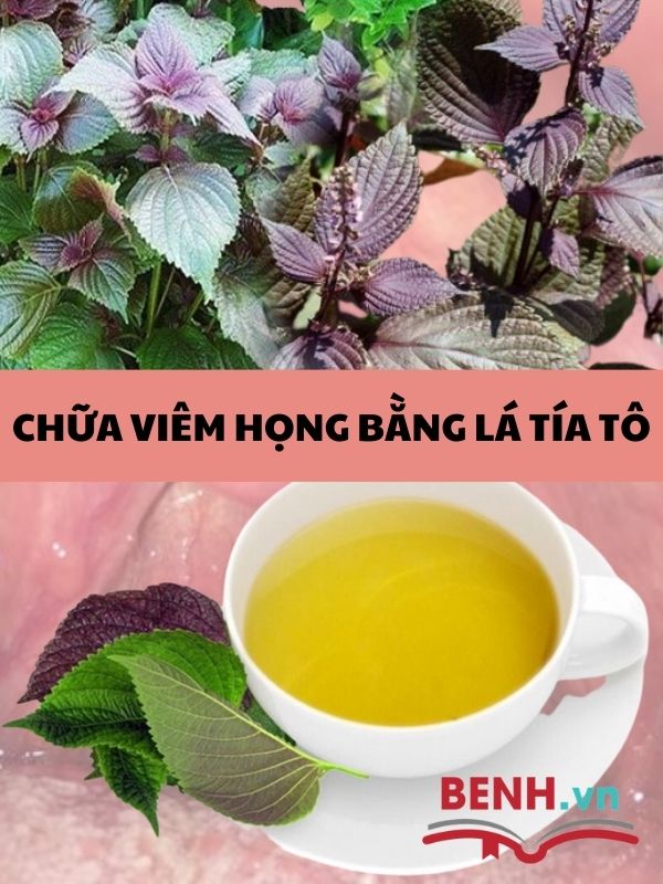 meo-chua-viem-hong-man-tinh-theo-dan-gian-va-luu-y-khi-dieu-tri-4