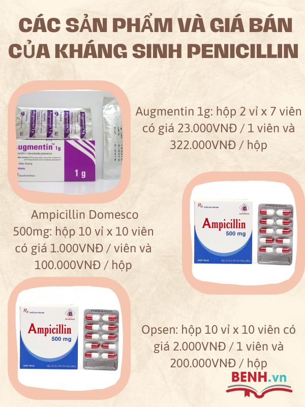 penicillin-khang-sinh-trong-cac-benh-ly-nhiem-khuan-7