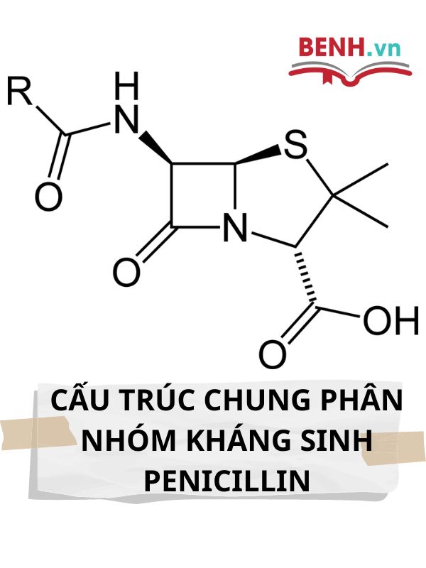 penicillin-khang-sinh-trong-cac-benh-ly-nhiem-khuan-4