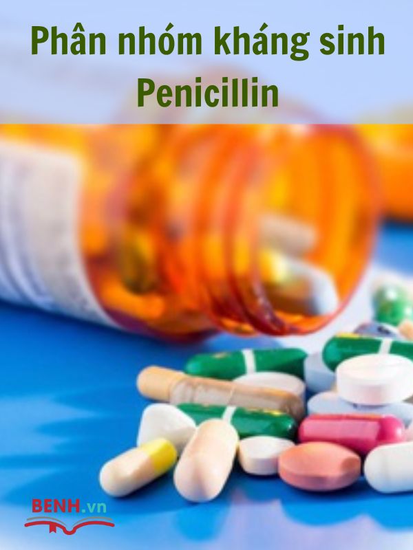 penicillin-khang-sinh-trong-cac-benh-ly-nhiem-khuan-8